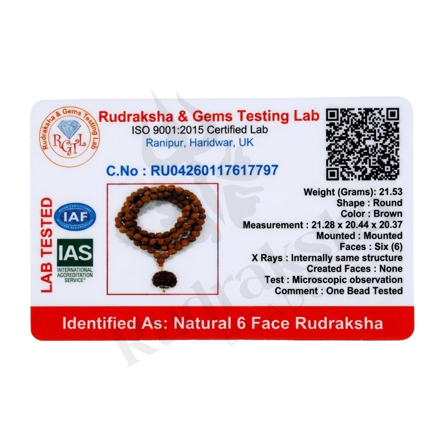 Focus 6 Mukhi Rudraksha Mala (Nepali)
