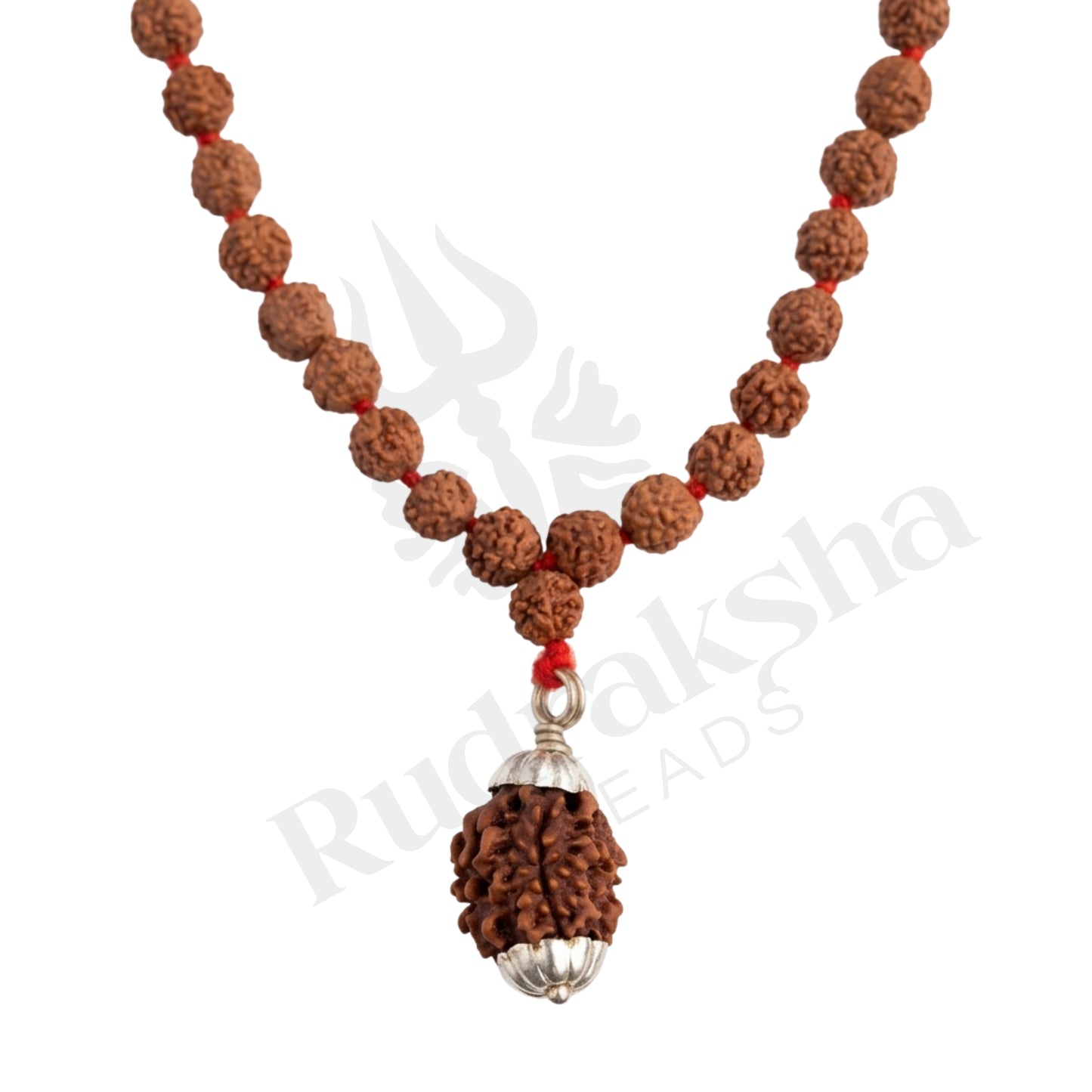 Harmony 3 Mukhi Rudraksha Mala (Himalayan)