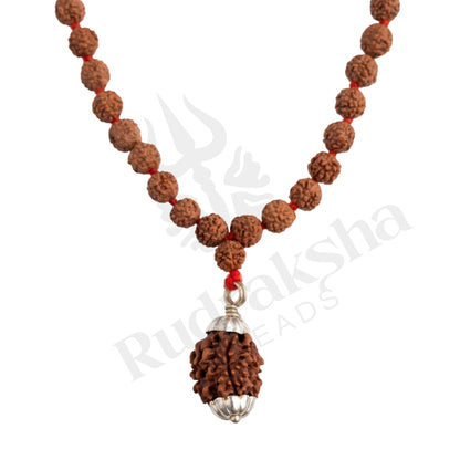 Harmony 3 Mukhi Rudraksha Mala (Himalayan)