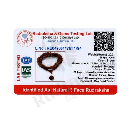 Harmony 3 Mukhi Rudraksha Mala (Himalayan)