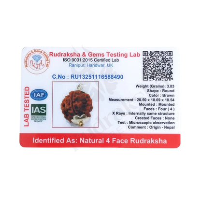 4 Mukhi Rudraksha (Four-Faced Rudraksha) Nepali