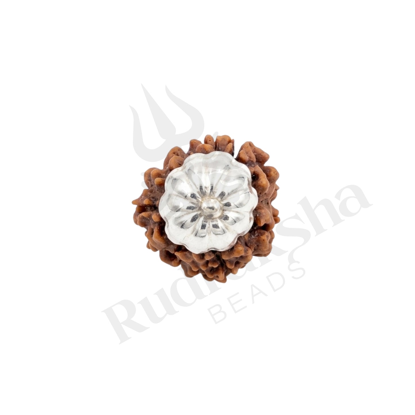 Harmony 3 Mukhi Rudraksha Mala (Himalayan)