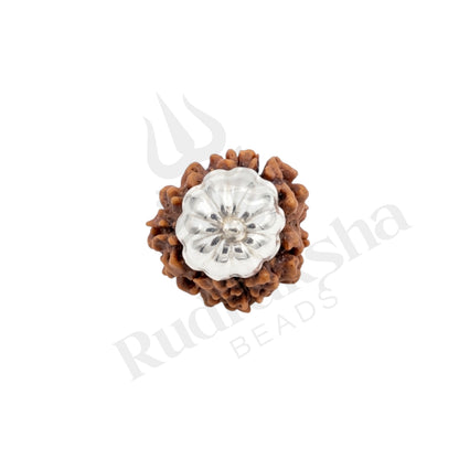 Harmony 3 Mukhi Rudraksha Mala (Himalayan)