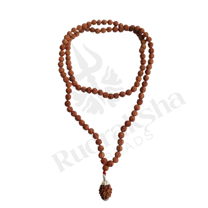 Harmony 3 Mukhi Rudraksha Mala (Himalayan)