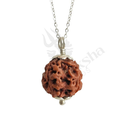 4 Mukhi Rudraksha (Four-Faced Rudraksha) Nepali