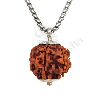 5 Mukhi Rudraksha (Five-Faced Rudraksha) Nepali