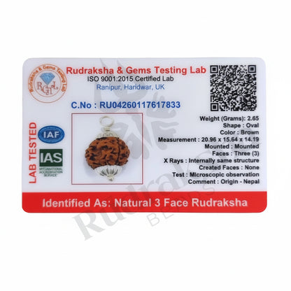 3 Mukhi Rudraksha (Three-Faced Rudraksha) Nepali