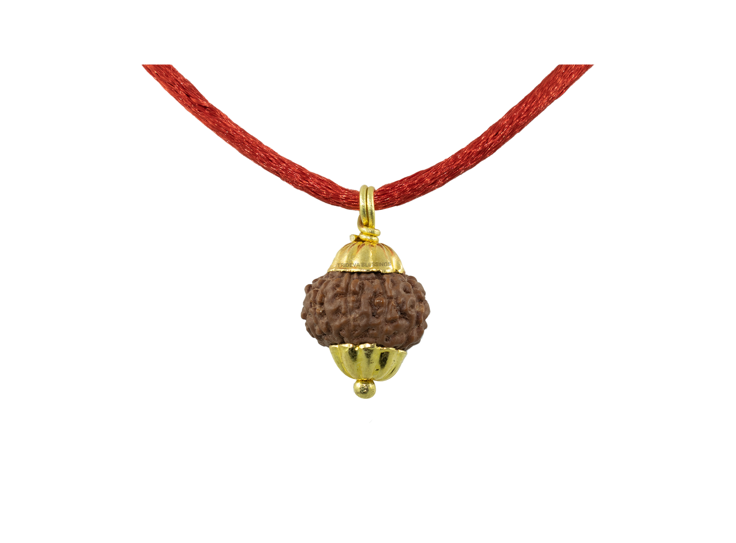 Natural 10 Mukhi Rudraksha Pendant