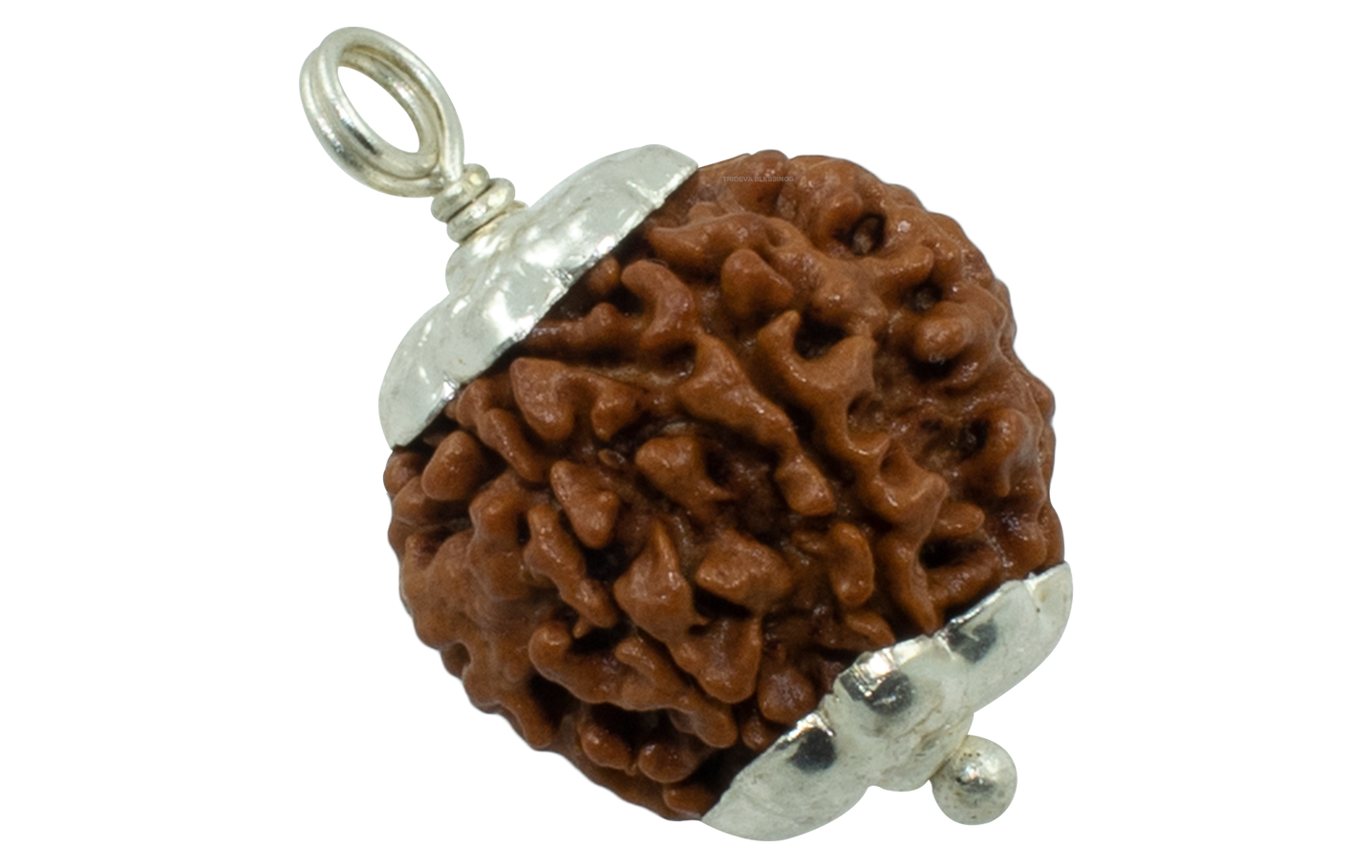 6 MUKHI SILVER PENDANT