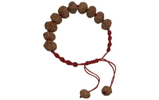 Natural 8 Mukhi Rudraksha Bracelet