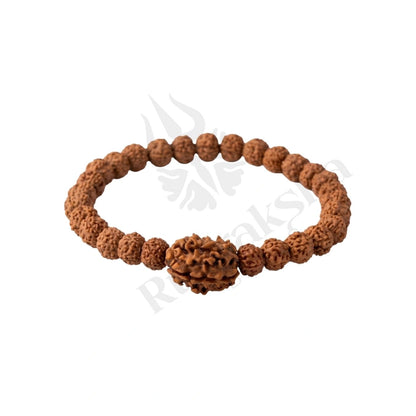3 MUKHI RUDRAKSHA BRACELET (HIMALAYAN) Agni Transformation Bracelet