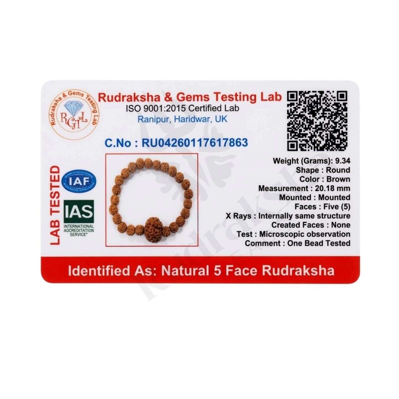 5 MUKHI RUDRAKSHA BRACELET (NEPALI) Panch Tatva Peace Bracelet