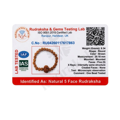 5 MUKHI RUDRAKSHA BRACELET (NEPALI) Panch Tatva Peace Bracelet