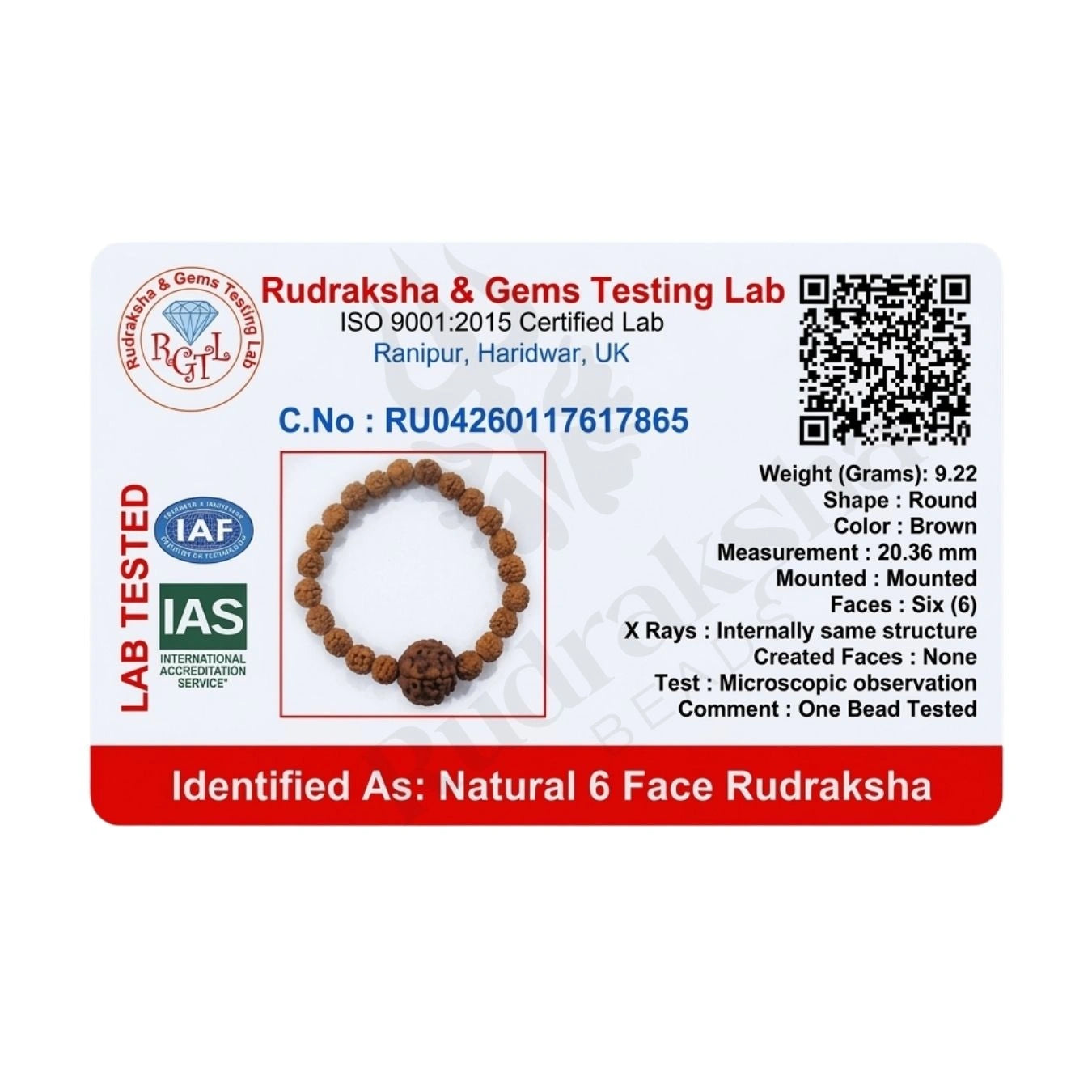 6 MUKHI RUDRAKSHA BRACELET (NEPALI) Kartikeya Strength Bracelet