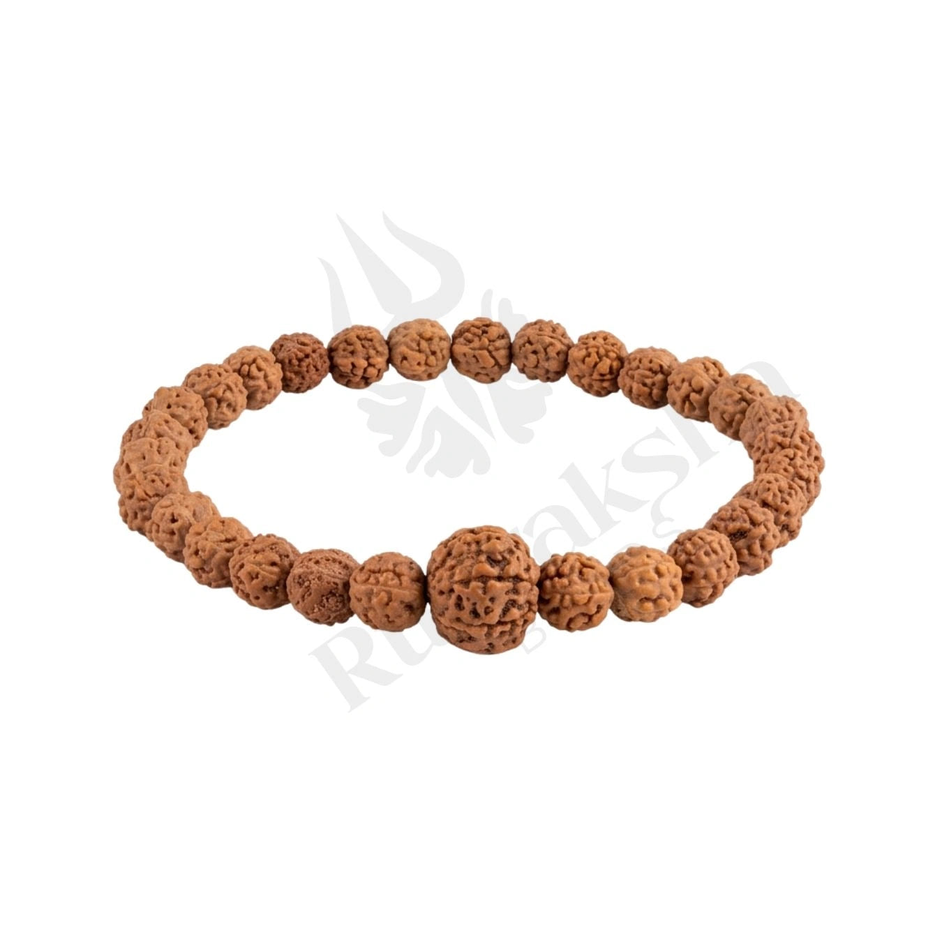 7 MUKHI RUDRAKSHA BRACELET (INDONESIAN) Lakshmi Wealth Bracelet