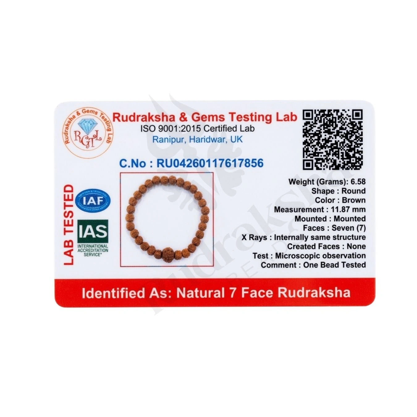 7 MUKHI RUDRAKSHA BRACELET (INDONESIAN) Lakshmi Wealth Bracelet