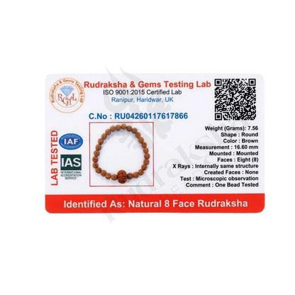 8 MUKHI RUDRAKSHA BRACELET (INDONESIAN) Ganesha Success Bracelet