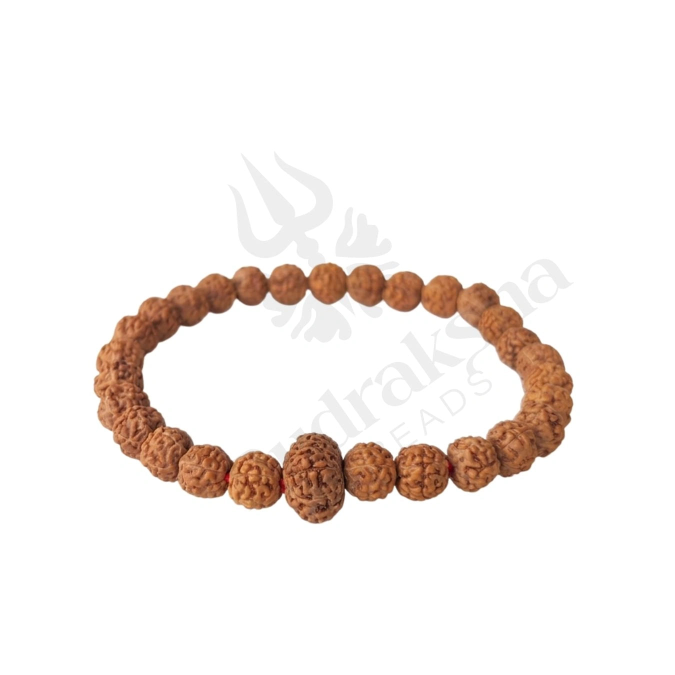 10 MUKHI RUDRAKSHA BRACELET (INDONESIAN) Vishnu Shield Bracelet