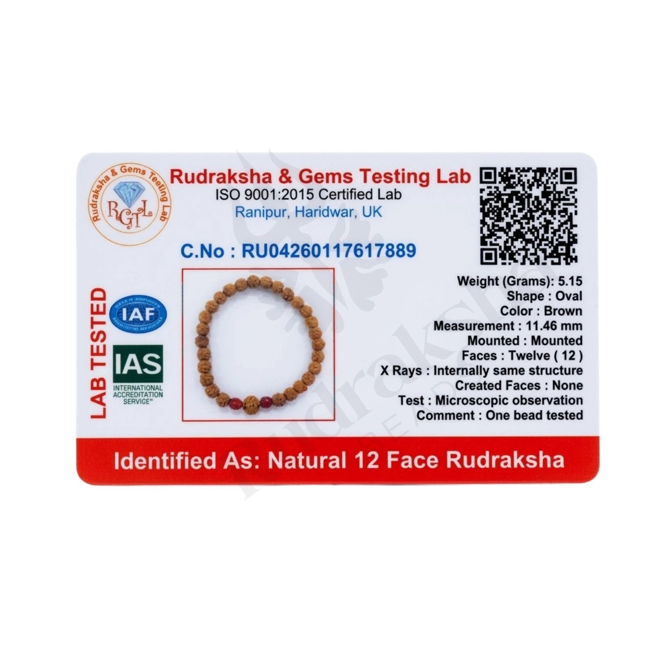 12 MUKHI RUDRAKSHA BRACELET (INDONESIAN) Surya Power Bracelet