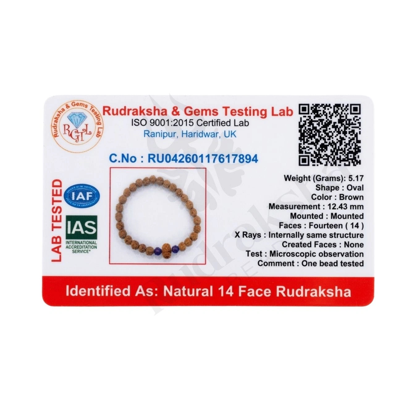 14 MUKHI RUDRAKSHA BRACELET (INDONESIAN) Third Eye Vision Bracelet