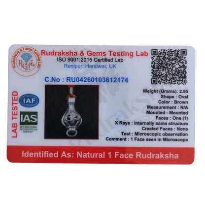 1 Mukhi Rudraksha (One-Faced Rudraksha) Indonesian
