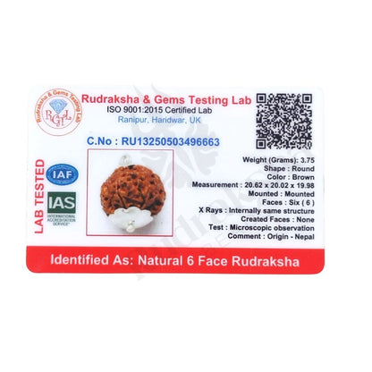 6 Mukhi Rudraksha (Six-Faced Rudraksha) Nepali