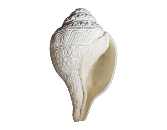 Lord Vishnu Virat Roop Carved on Shankh