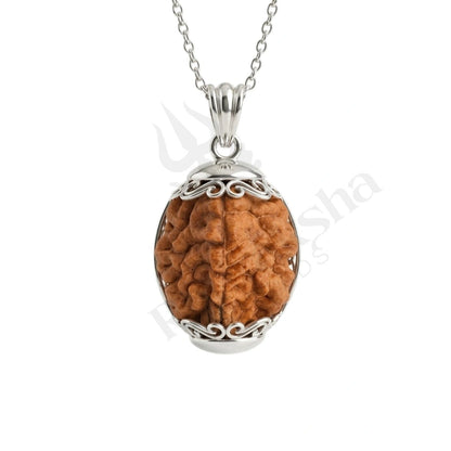 2 Mukhi Rudraksha (Two-Faced Rudraksha) South Indian
