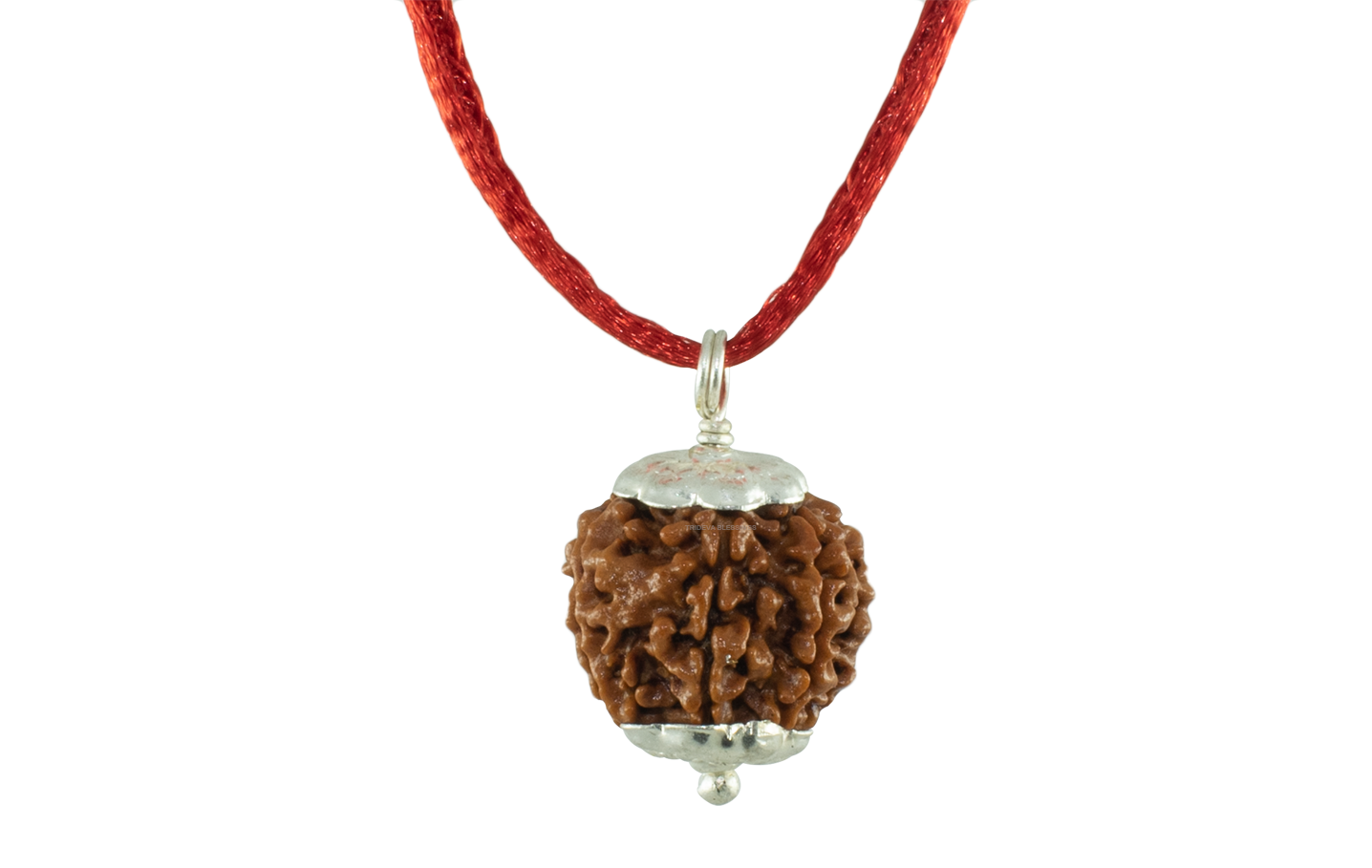 6 MUKHI SILVER PENDANT