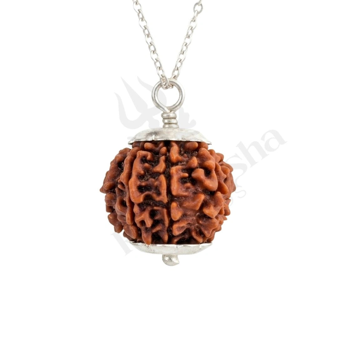 7 Mukhi Rudraksha (Seven-Faced Rudraksha) Nepali