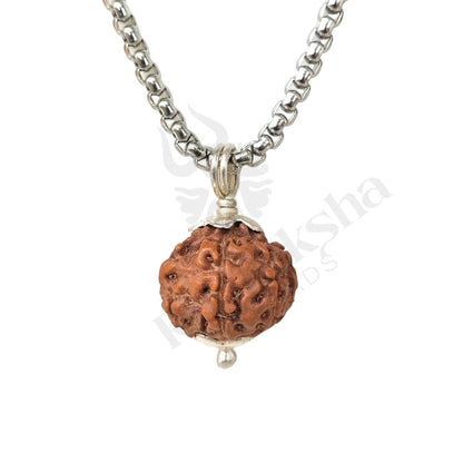 8 Mukhi Rudraksha (Eight-Faced Rudraksha) Indonesian