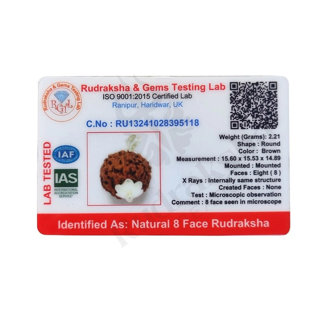 8 Mukhi Rudraksha (Eight-Faced Rudraksha) Indonesian