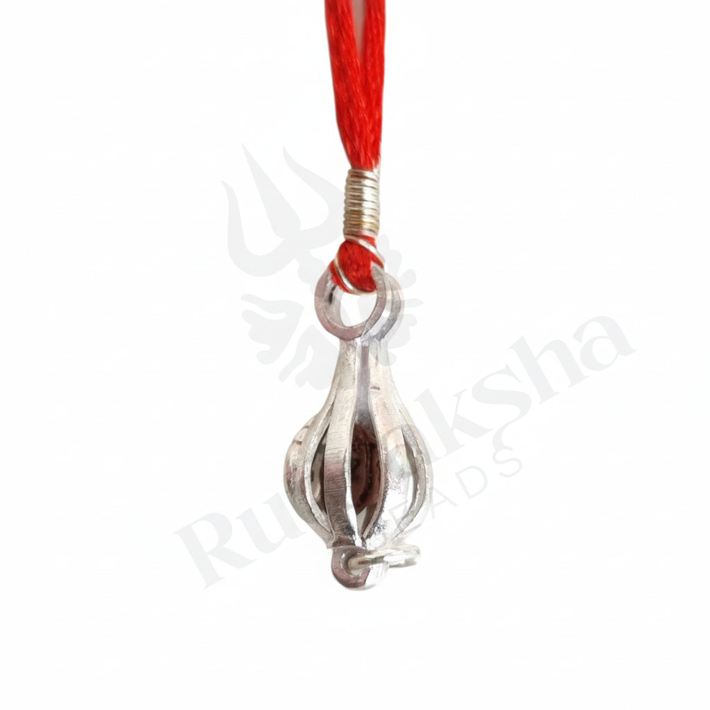 1 Mukhi Rudraksha (One-Faced Rudraksha) Indonesian