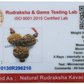 Business Shakti Kavach