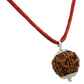 6 MUKHI SILVER PENDANT