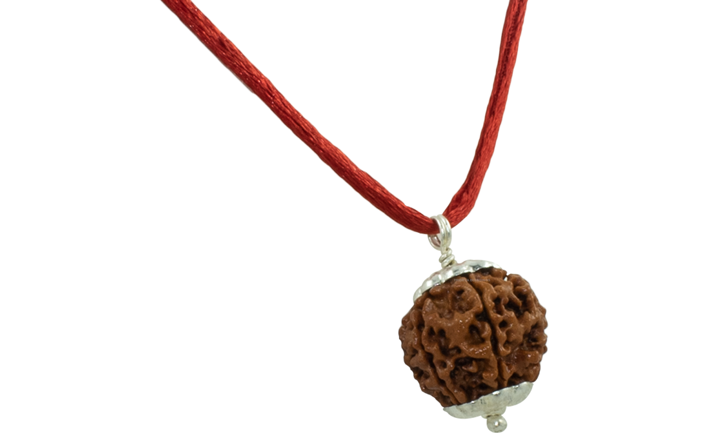 6 MUKHI SILVER PENDANT