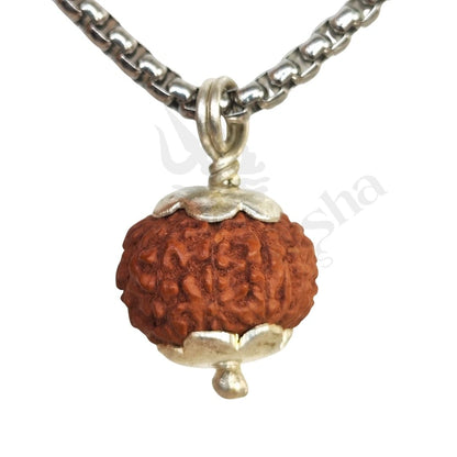9 Mukhi Rudraksha (Nine-Faced Rudraksha) Indonesian
