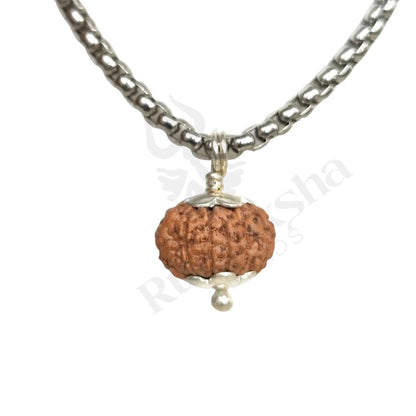 11 Mukhi Rudraksha (Eleven-Faced Rudraksha) Indonesian