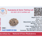 9 Mukhi Rudraksha 23.47mm
