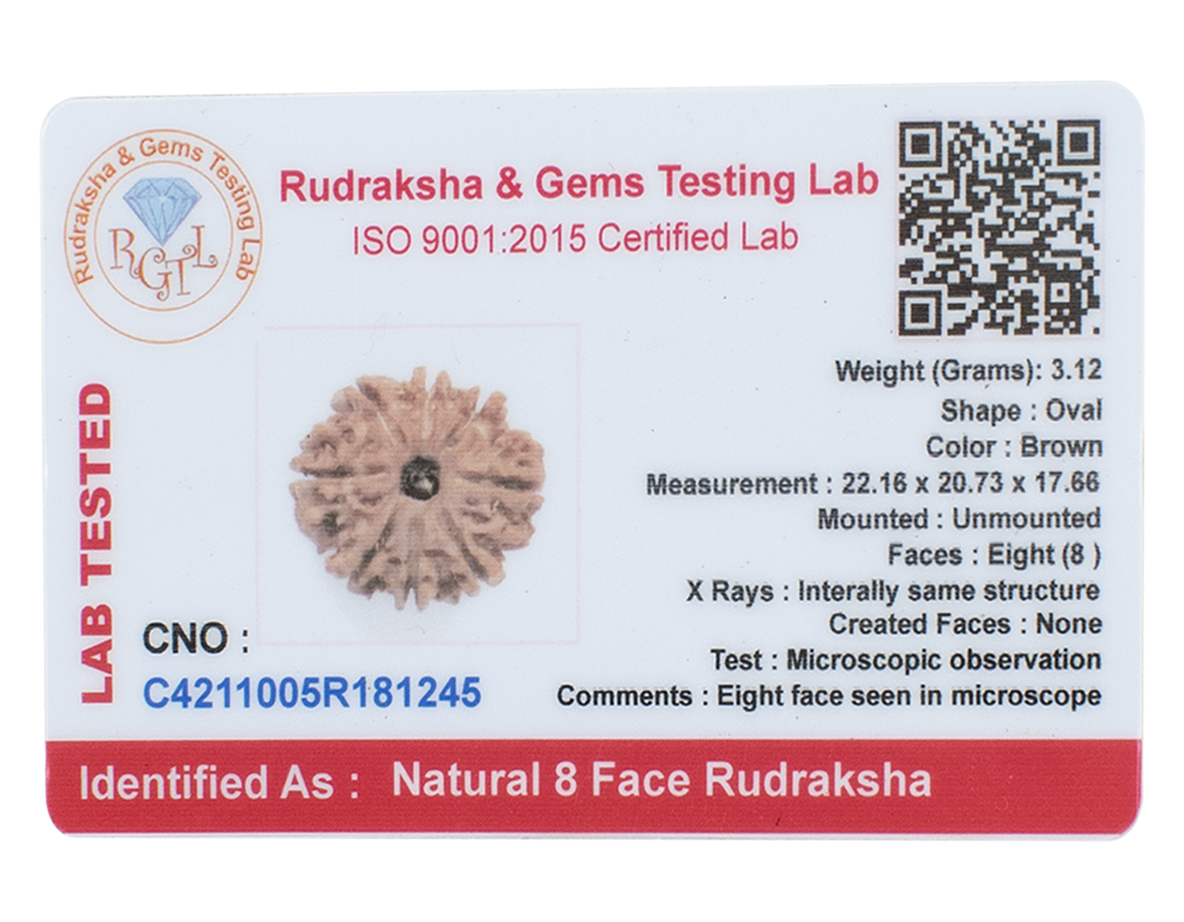 8 mukhi rudraksha 22.16mm