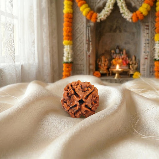 4 Mukhi Rudraksha (Four-Faced Rudraksha) Nepali