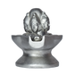 5 MUKHI SHIVLING