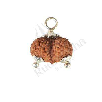 Gauri Shankar Rudraksha Indonesian