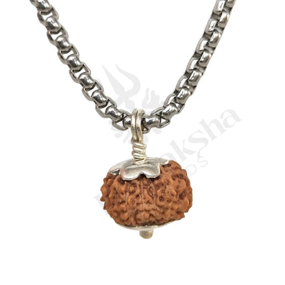 13 Mukhi Rudraksha (Thirteen-Faced Rudraksha)