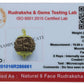 6 Mukhi GOLDEN METAL PENDANT