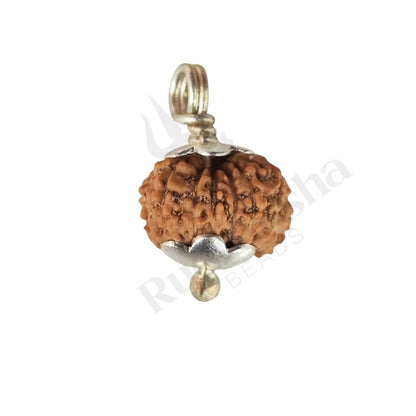 14 Mukhi Rudraksha (Fourteen-Faced Rudraksha) Indonesian