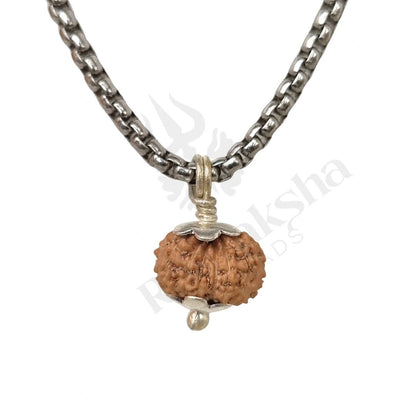 14 Mukhi Rudraksha (Fourteen-Faced Rudraksha) Indonesian