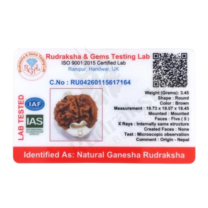 Ganesh Rudraksha Nepali