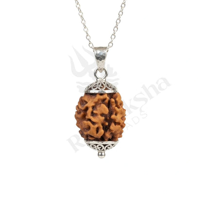 2 Mukhi Rudraksha (Two-Faced Rudraksha) Himalayan