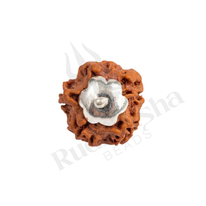 Silent Nirakar Rudraksha Mala (Nepali)